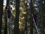 Maibaum_2016 (32).JPG